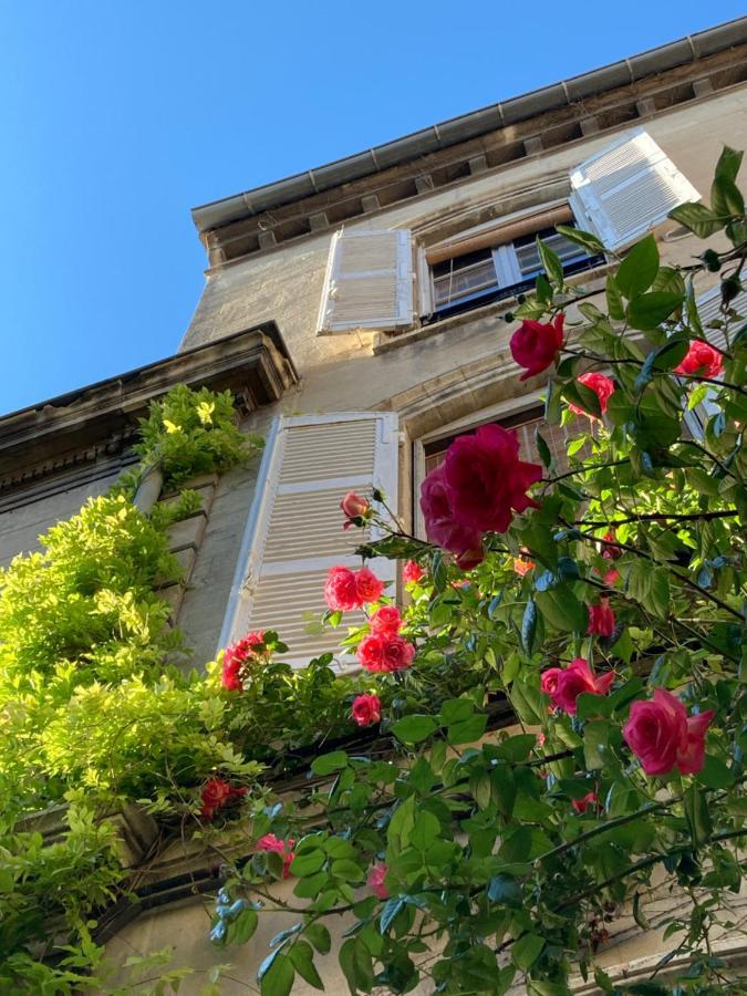 Cocooning Avignon Hotell Exteriör bild