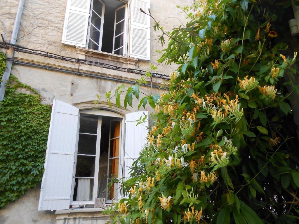 Cocooning Avignon Hotell Exteriör bild
